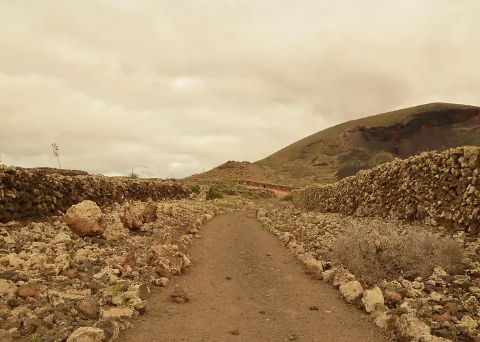 Tayu Eco * Villaverde (Fuerteventura)